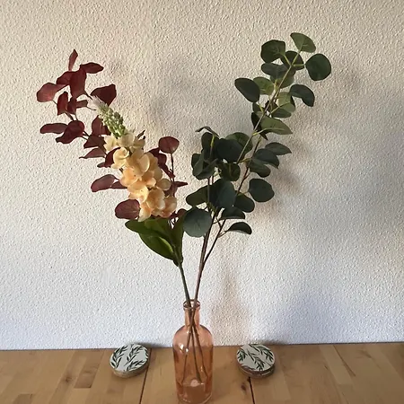 Appartement Cocon Cosy Gare St Roch