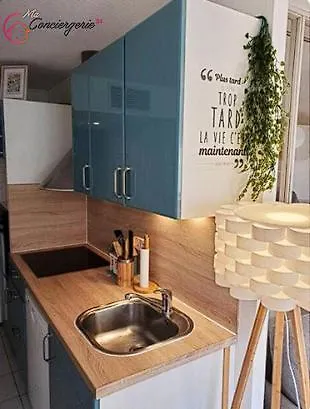 Cocon Cosy Gare St Roch Appartement